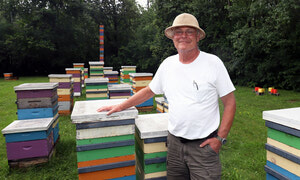 What bee-mageddon teaches beekeepers, By Jeff Tribe